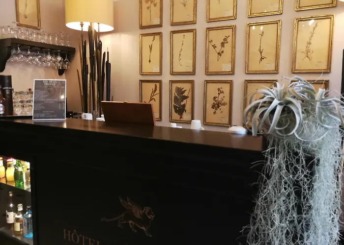 Hotel De La Treille